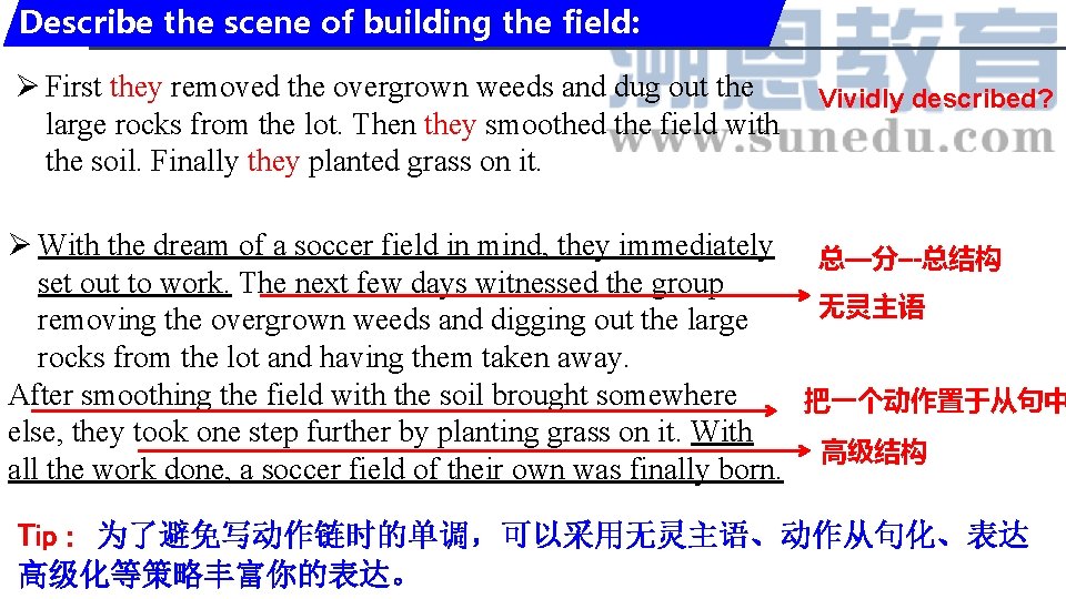Describe the scene of building the field: Ø First they removed the overgrown weeds Describe the scene of building the field: Ø First they removed the overgrown weeds