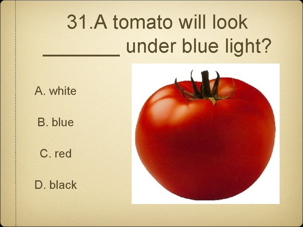 31. A tomato will look _______ under blue light? A. white B. blue C.