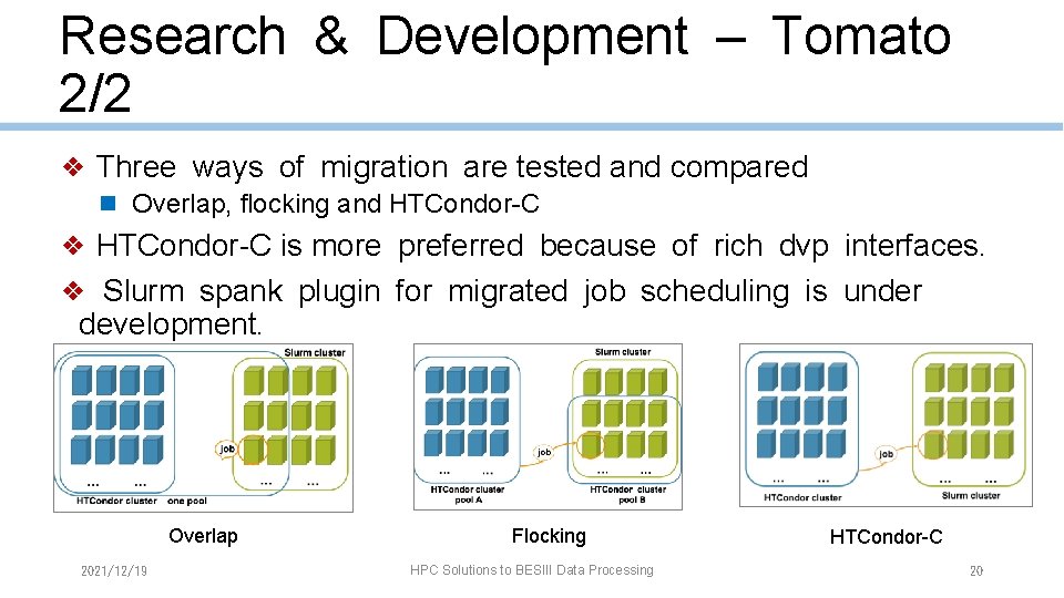 Research & Development – Tomato 2/2 ❖ Three ways of migration are tested and
