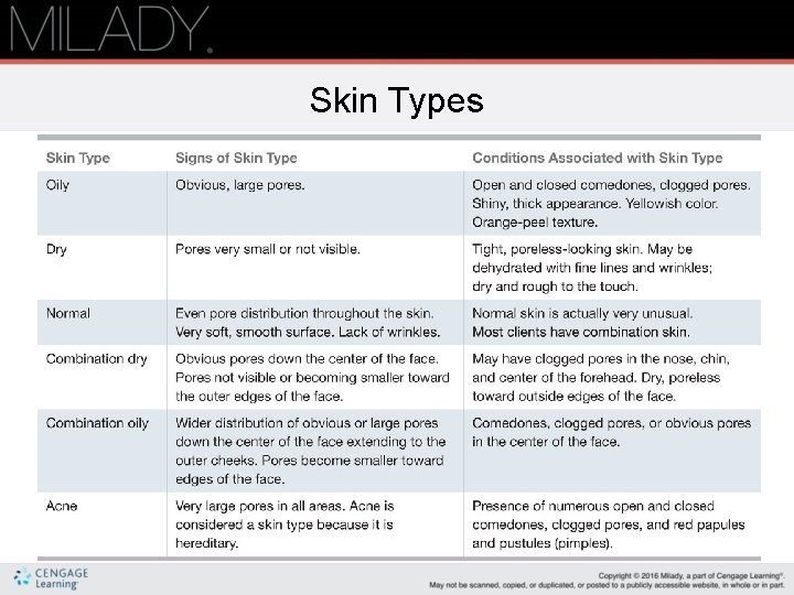 Skin Types 