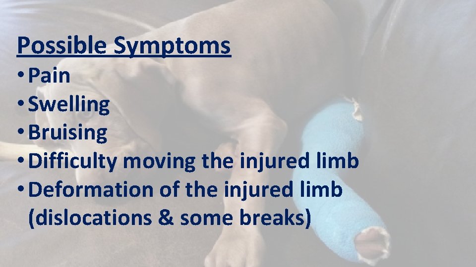 Possible Symptoms • Pain • Swelling • Bruising • Difficulty moving the injured limb