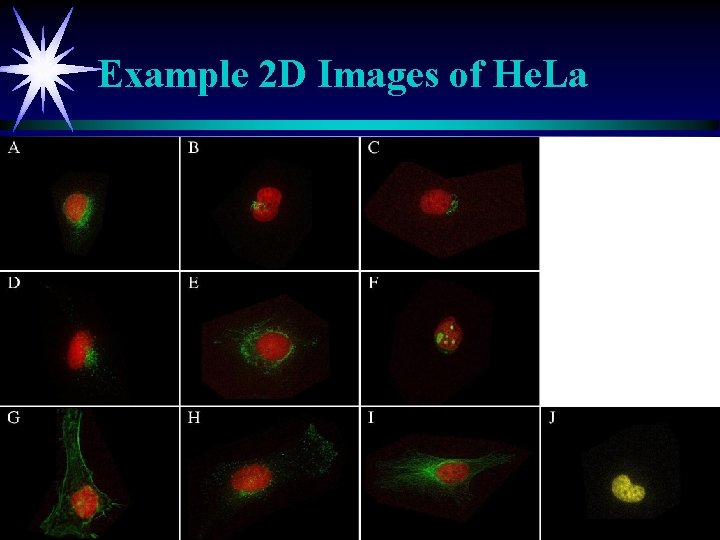 Example 2 D Images of He. La 