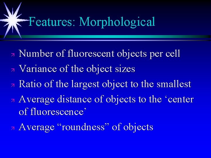 Features: Morphological ä ä ä Number of fluorescent objects per cell Variance of the