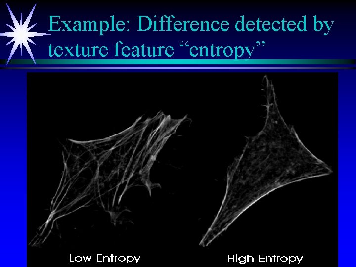 Example: Difference detected by texture feature “entropy” 