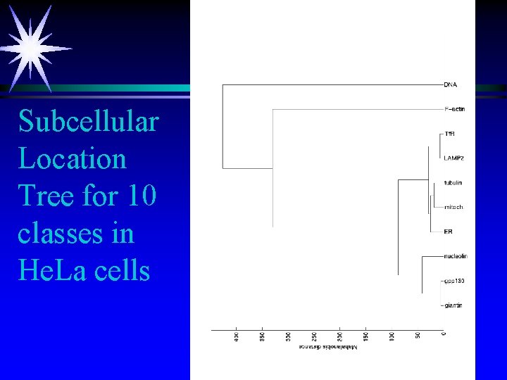 Subcellular Location Tree for 10 classes in He. La cells 