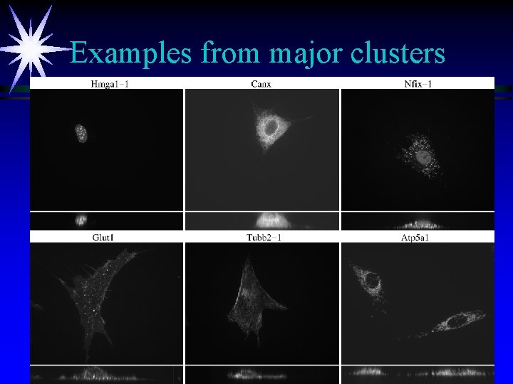 Examples from major clusters 