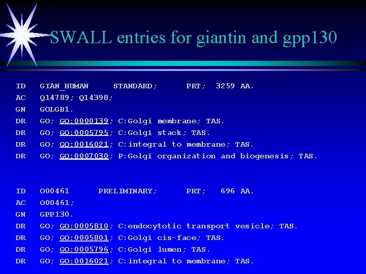 SWALL entries for giantin and gpp 130 ID AC GN DR DR GIAN_HUMAN STANDARD;