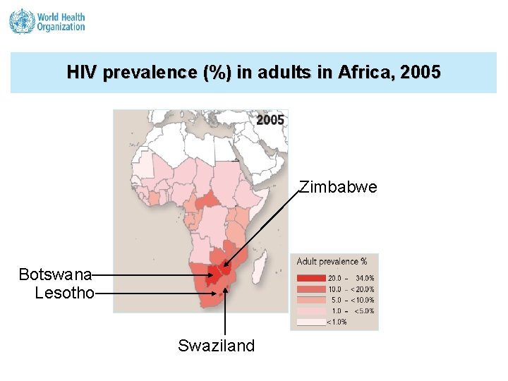 HIV prevalence (%) in adults in Africa, 2005 Zimbabwe Botswana Lesotho Swaziland 2. 5
