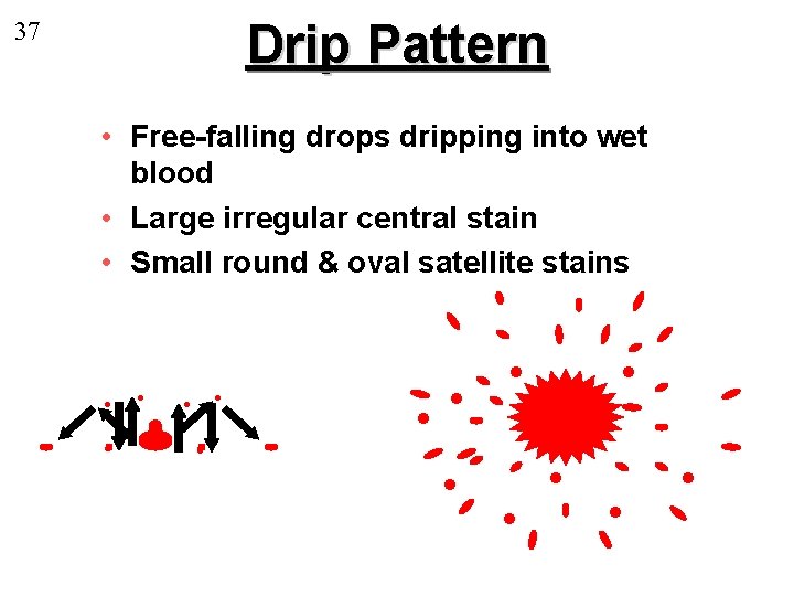 Drip Pattern 37 • Free-falling drops dripping into wet blood • Large irregular central