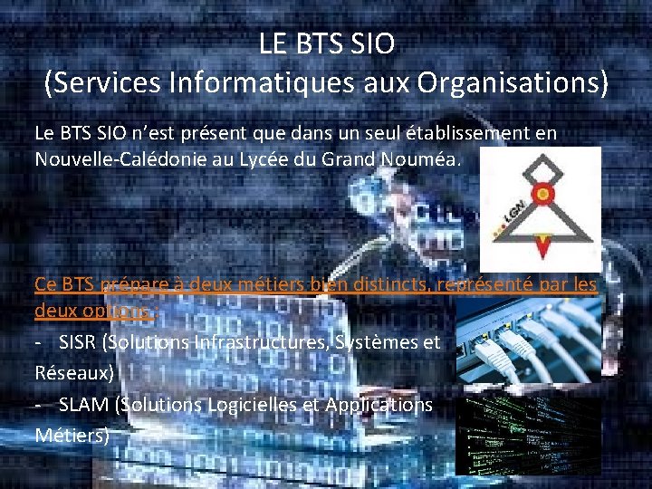 LE BTS SIO (Services Informatiques aux Organisations) Le BTS SIO n’est présent que dans