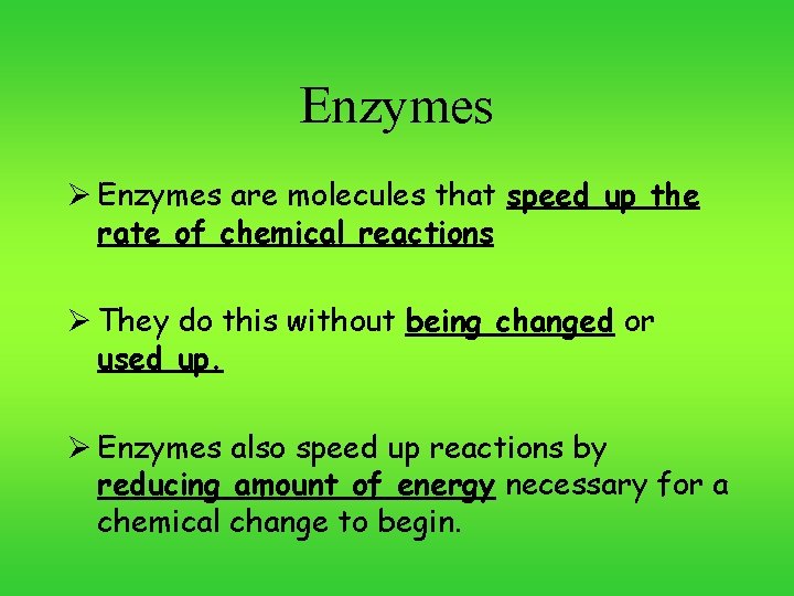 Enzymes Ø Enzymes are molecules that speed up the rate of chemical reactions Ø