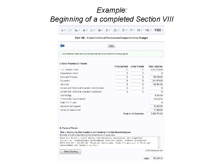 Example: Beginning of a completed Section VIII 