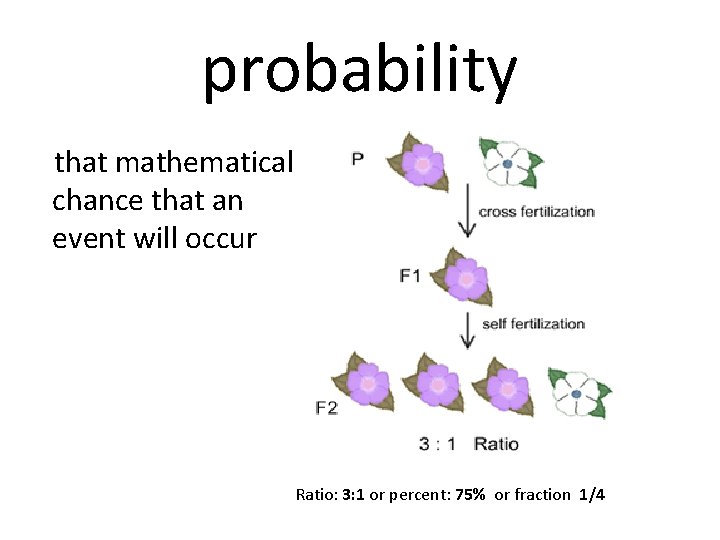 probability that mathematical chance that an event will occur Ratio: 3: 1 or percent:
