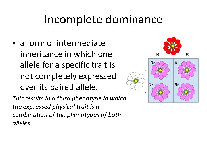 Incomplete dominance • a form of intermediate inheritance in which one allele for a