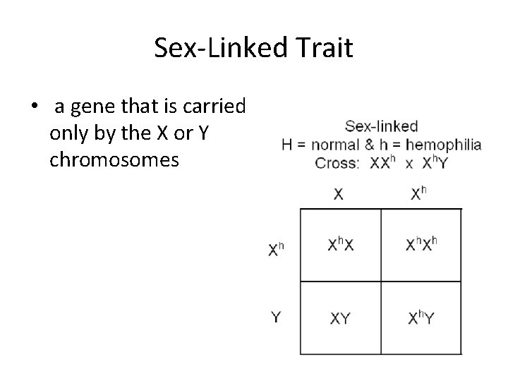 Sex-Linked Trait • a gene that is carried only by the X or Y