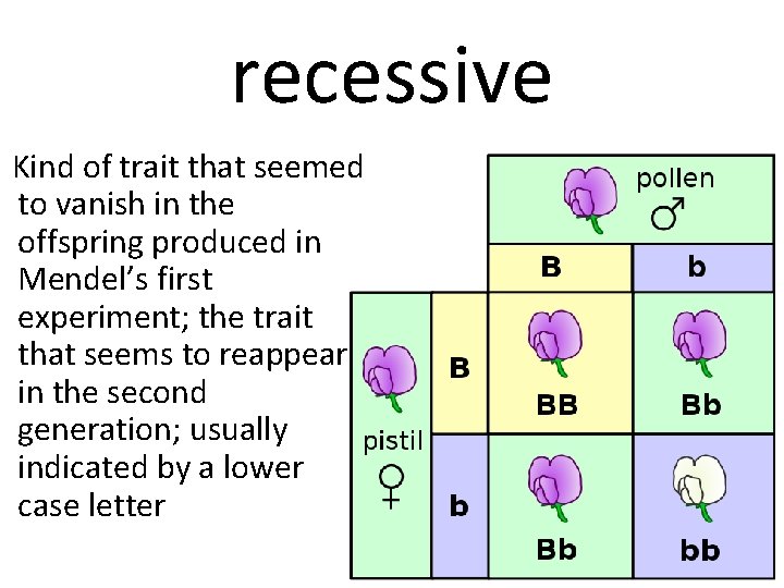 recessive Kind of trait that seemed to vanish in the offspring produced in Mendel’s