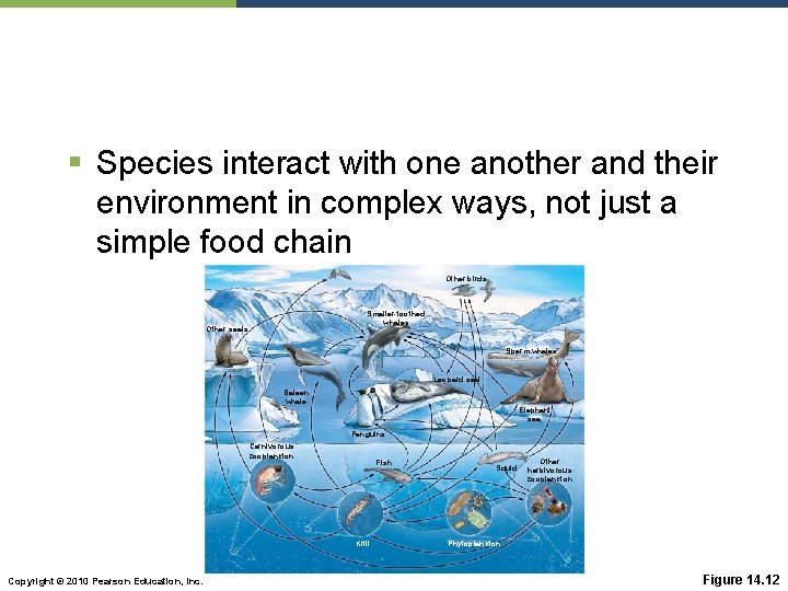 § Species interact with one another and their environment in complex ways, not just