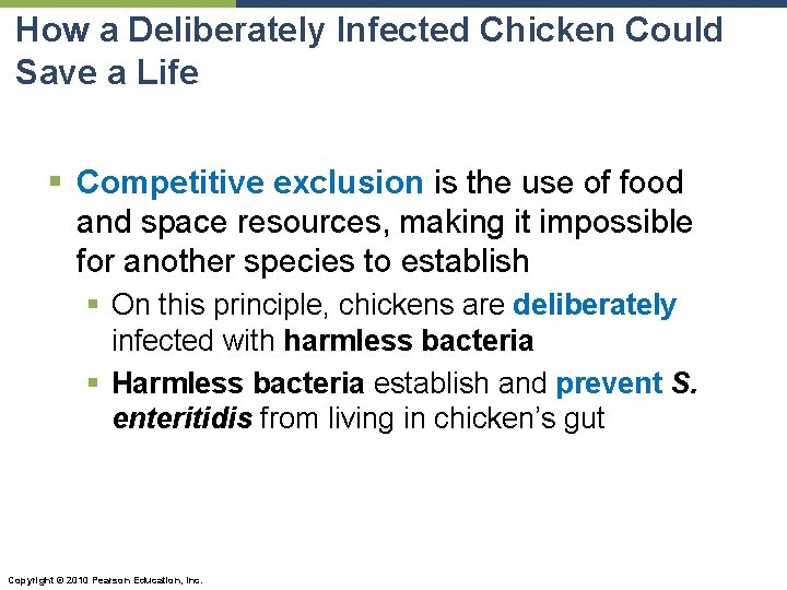 How a Deliberately Infected Chicken Could Save a Life § Competitive exclusion is the