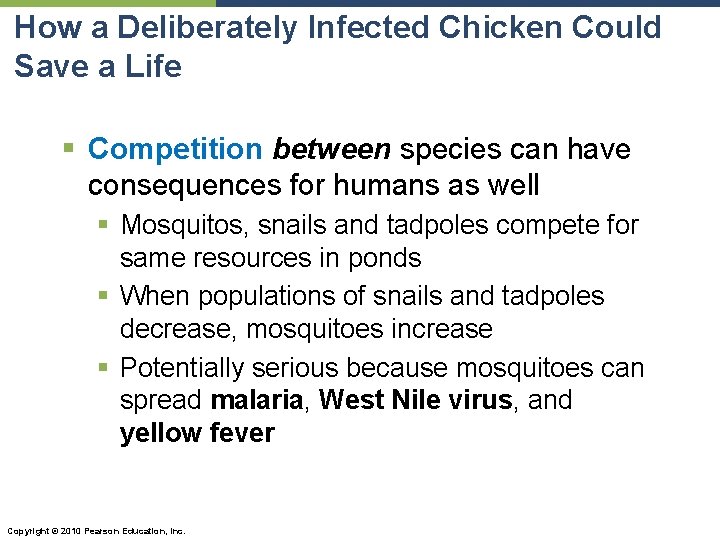 How a Deliberately Infected Chicken Could Save a Life § Competition between species can