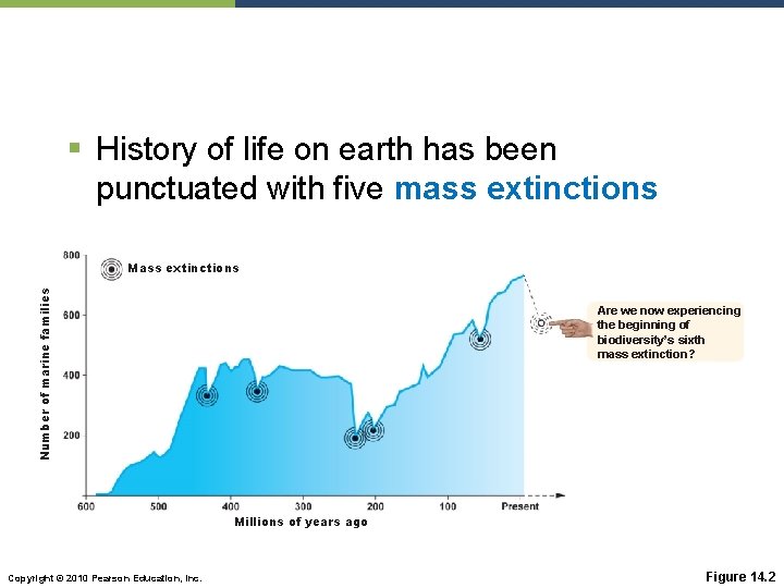 § History of life on earth has been punctuated with five mass extinctions Number