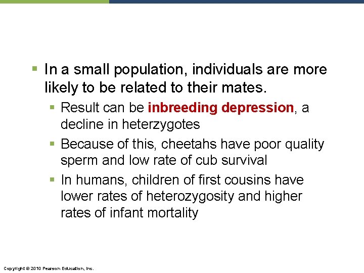§ In a small population, individuals are more likely to be related to their