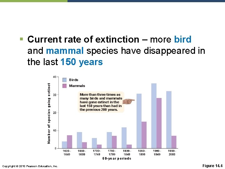 § Current rate of extinction – more bird and mammal species have disappeared in