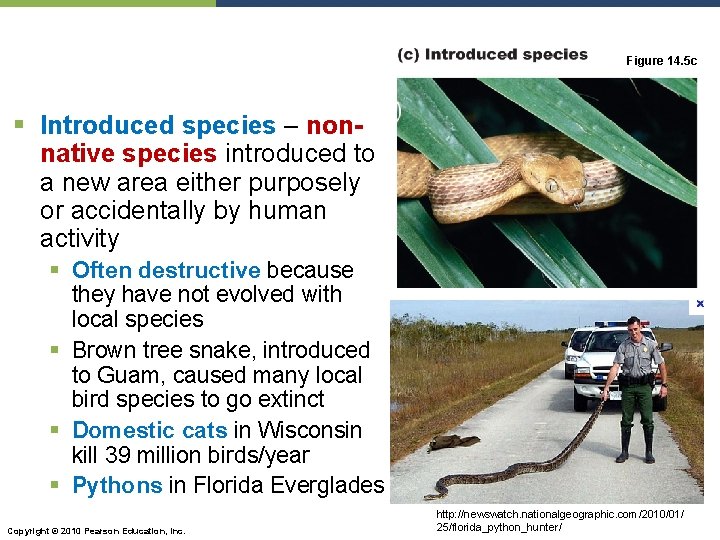 Figure 14. 5 c § Introduced species – nonnative species introduced to a new