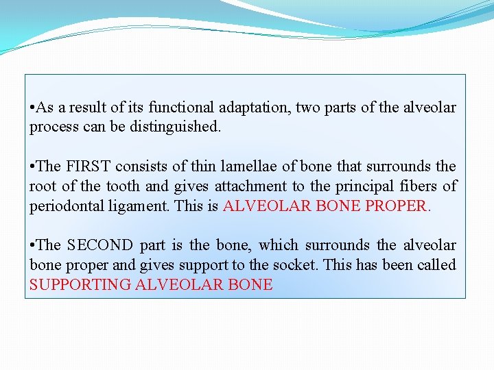  • As a result of its functional adaptation, two parts of the alveolar