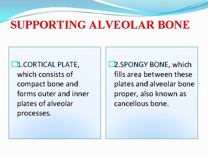 SUPPORTING ALVEOLAR BONE � 1. CORTICAL PLATE, which consists of compact bone and forms