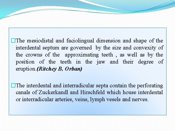 �The mesiodistal and faciolingual dimension and shape of the interdental septum are governed by