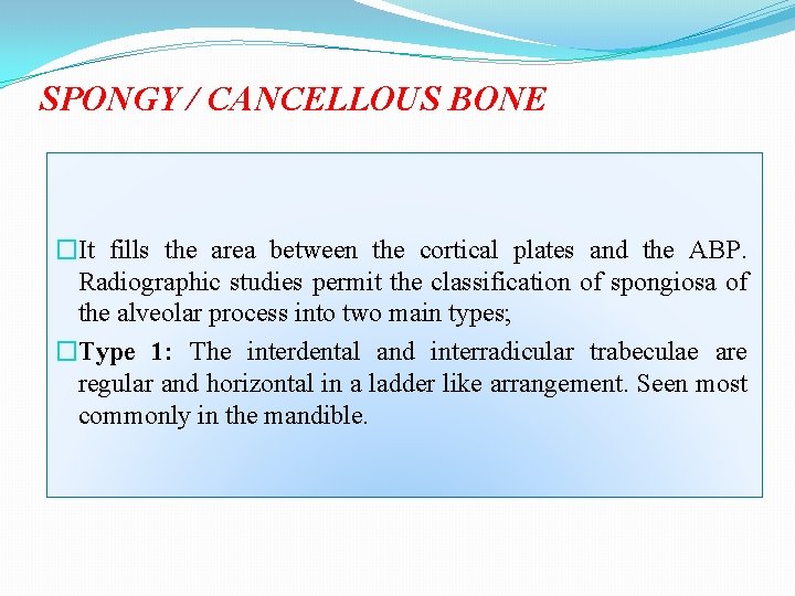 SPONGY / CANCELLOUS BONE �It fills the area between the cortical plates and the