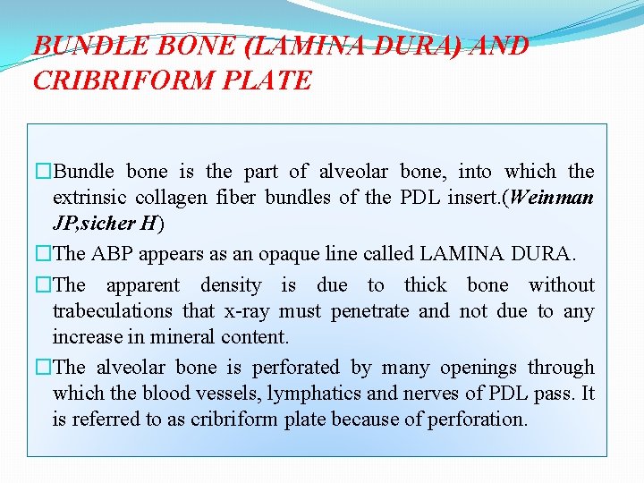 BUNDLE BONE (LAMINA DURA) AND CRIBRIFORM PLATE �Bundle bone is the part of alveolar