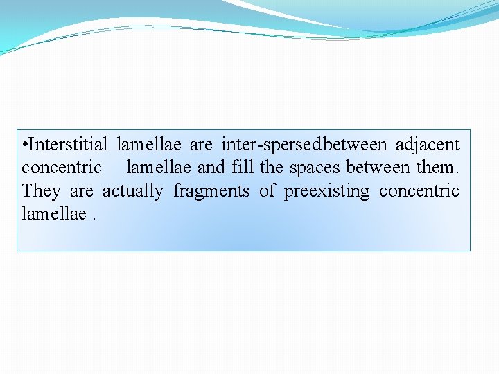  • Interstitial lamellae are inter spersed between adjacent concentric lamellae and fill the