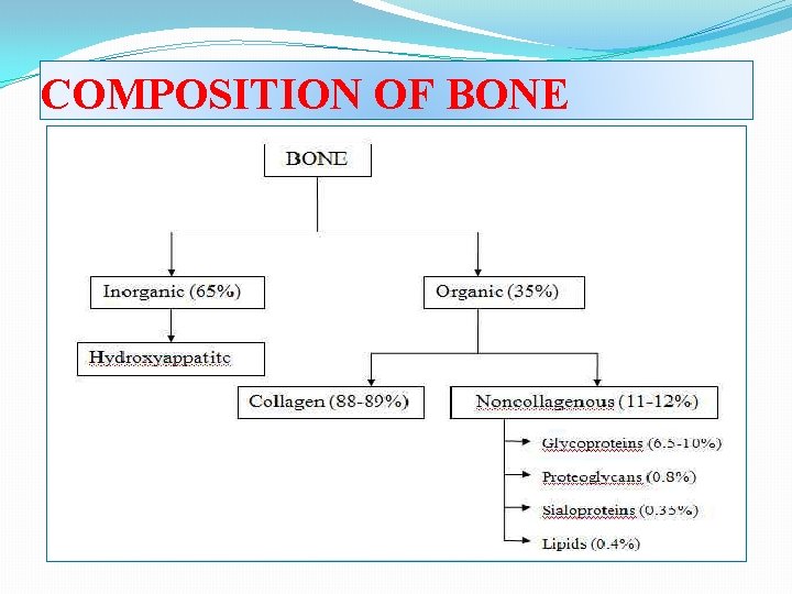 COMPOSITION OF BONE 