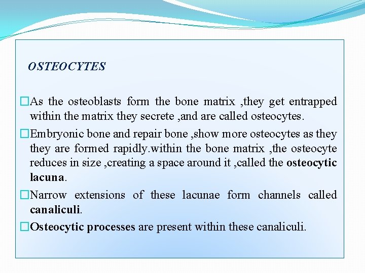 OSTEOCYTES �As the osteoblasts form the bone matrix , they get entrapped within the