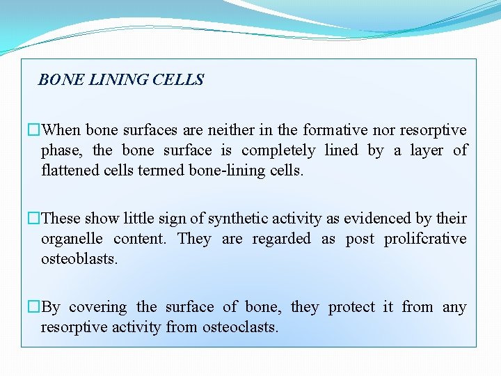 BONE LINING CELLS �When bone surfaces are neither in the formative nor resorptive phase,