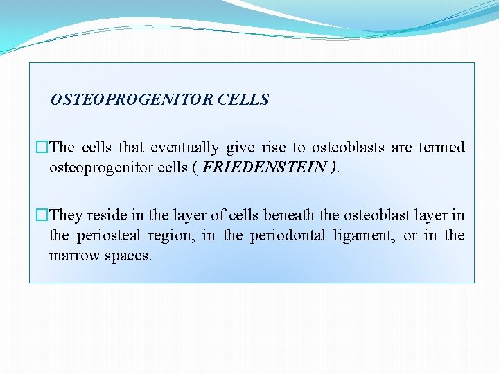OSTEOPROGENITOR CELLS �The cells that eventually give rise to osteoblasts are termed osteoprogenitor cells