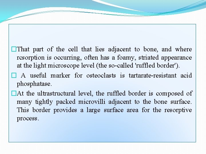 �That part of the cell that lies adjacent to bone, and where rcsorption is