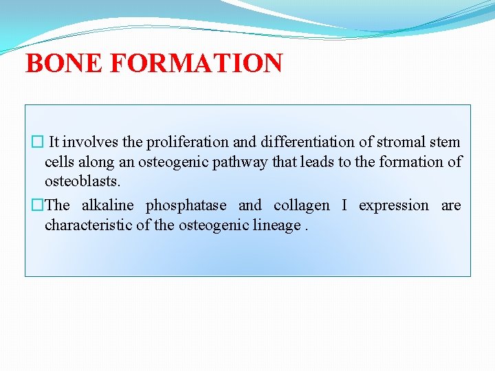 BONE FORMATION � It involves the proliferation and differentiation of stromal stem cells along