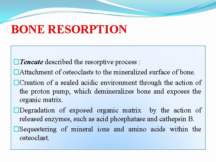 BONE RESORPTION �Tencate described the resorptive process : �Attachment of osteoclasts to the mineralized