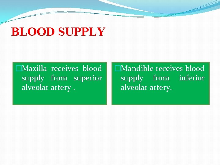 BLOOD SUPPLY �Maxilla receives blood supply from superior alveolar artery. �Mandible receives blood supply