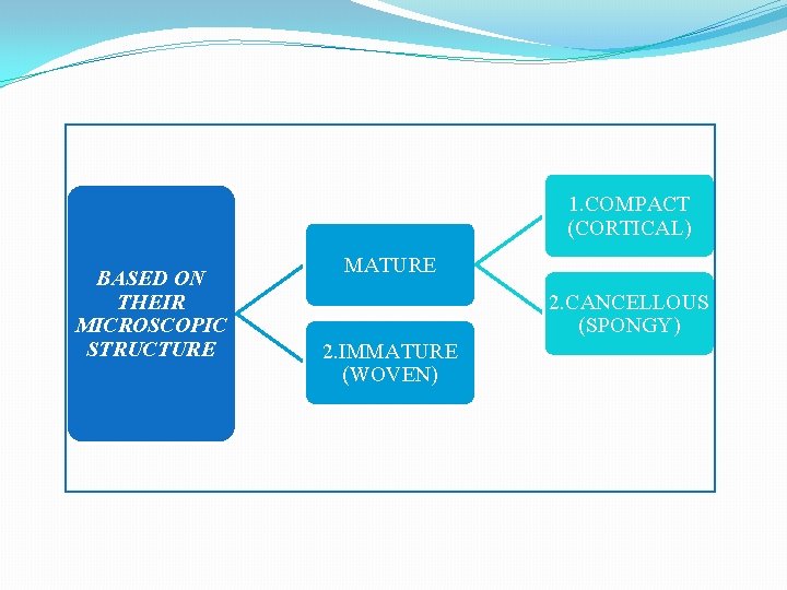 1. COMPACT (CORTICAL) BASED ON THEIR MICROSCOPIC STRUCTURE MATURE 2. CANCELLOUS (SPONGY) 2. IMMATURE