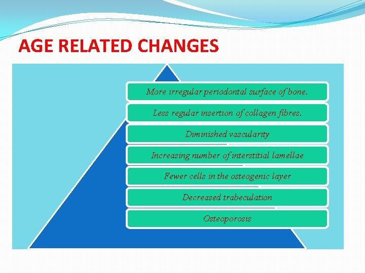 AGE RELATED CHANGES More irregular periodontal surface of bone. Less regular insertion of collagen