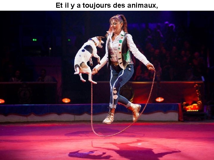 Et il y a toujours des animaux, 