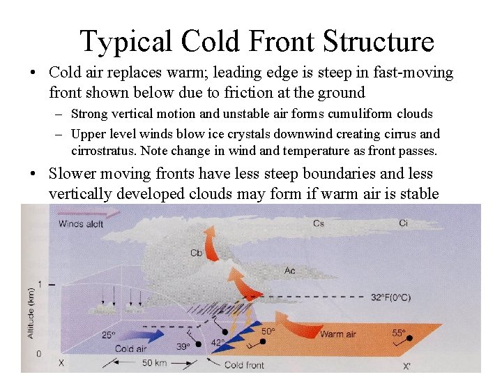Typical Cold Front Structure • Cold air replaces warm; leading edge is steep in