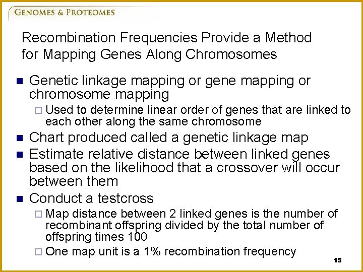 Recombination Frequencies Provide a Method for Mapping Genes Along Chromosomes n Genetic linkage mapping