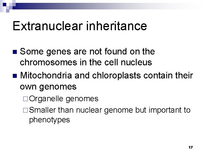 Extranuclear inheritance Some genes are not found on the chromosomes in the cell nucleus