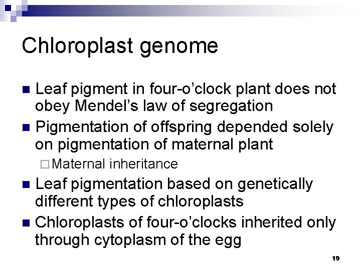 Chloroplast genome Leaf pigment in four-o’clock plant does not obey Mendel’s law of segregation