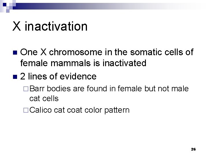 X inactivation One X chromosome in the somatic cells of female mammals is inactivated
