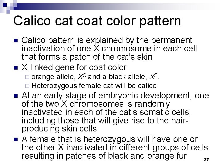 Calico cat color pattern n n Calico pattern is explained by the permanent inactivation